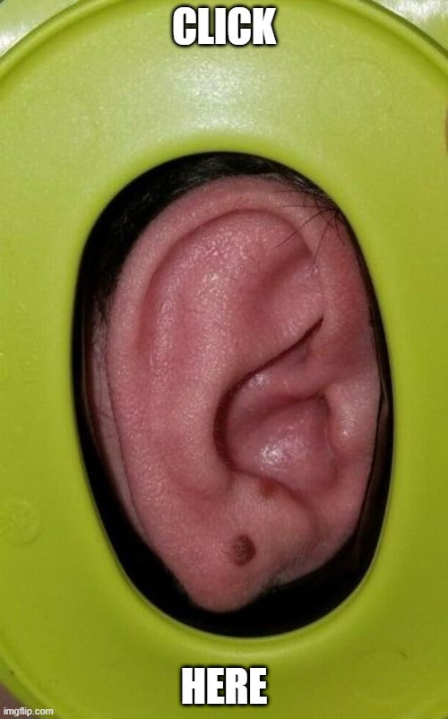 2E1Headphones